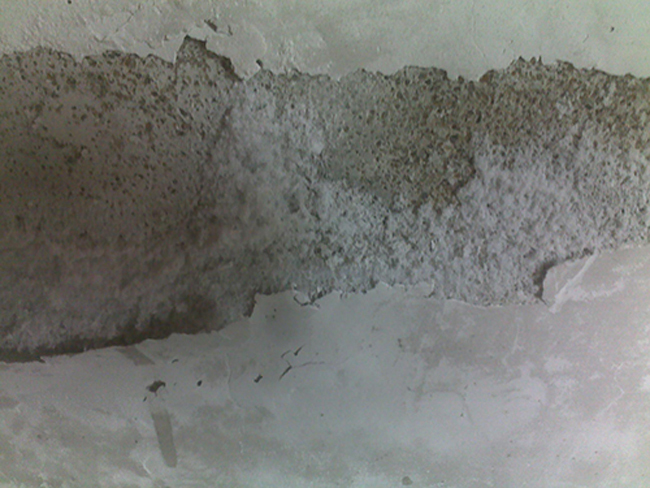 廠房涂料粉刷服務(wù)