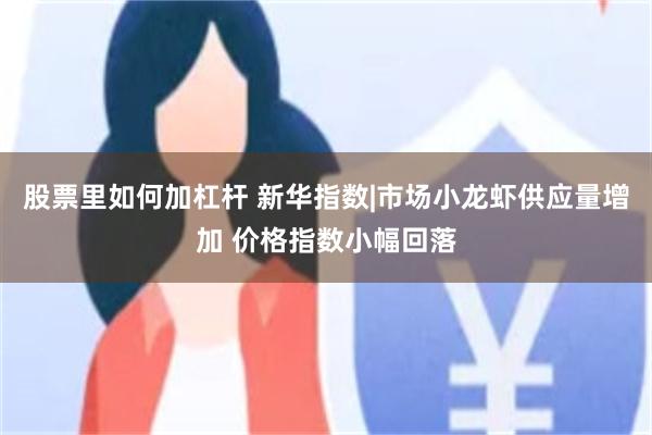 股票里如何加杠杆 新华指数|市场小龙虾供应量增加 价格指数小幅回落