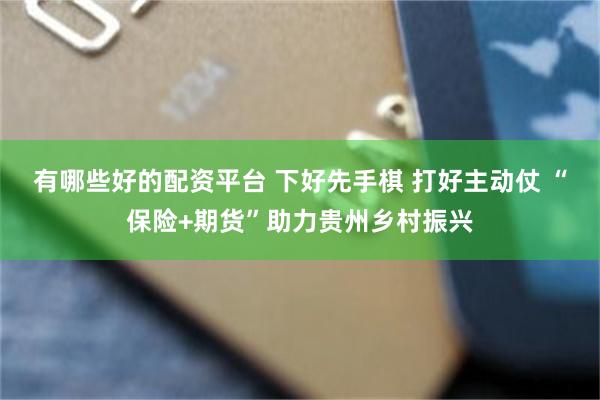 有哪些好的配资平台 下好先手棋 打好主动仗 “保险+期货”助力贵州乡村振兴