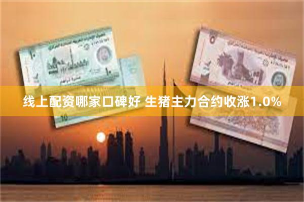 线上配资哪家口碑好 生猪主力合约收涨1.0%