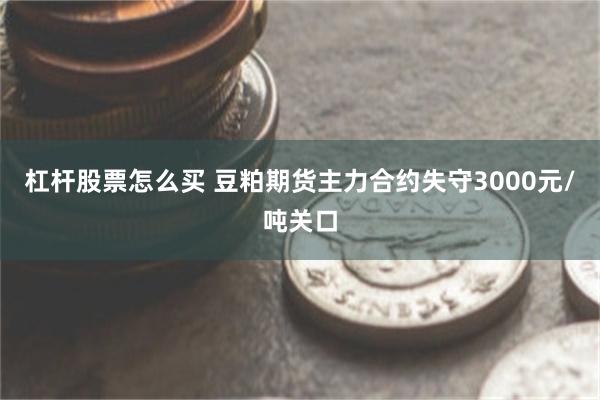 杠杆股票怎么买 豆粕期货主力合约失守3000元/吨关口