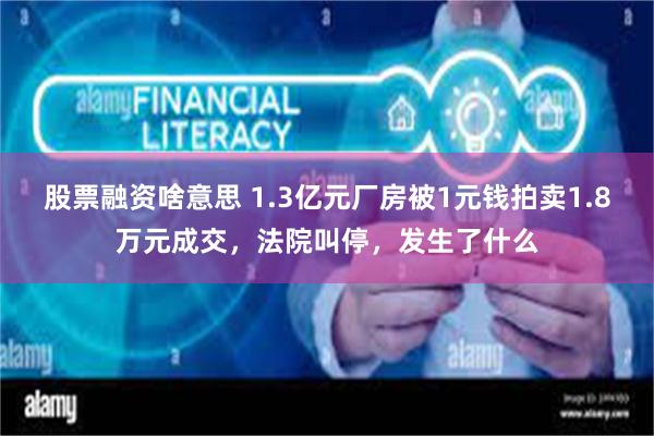 股票融资啥意思 1.3亿元厂房被1元钱拍卖1.8万元成交，法院叫停，发生了什么