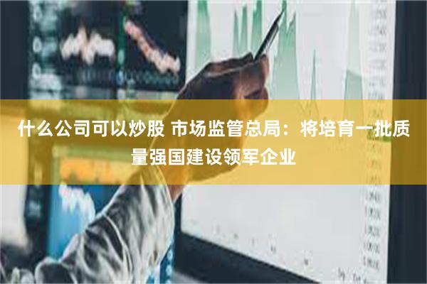什么公司可以炒股 市场监管总局：将培育一批质量强国建设领军企业