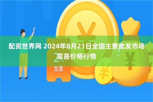 配资世界网 2024年8月21日全国主要批发市场菜苔价格行情