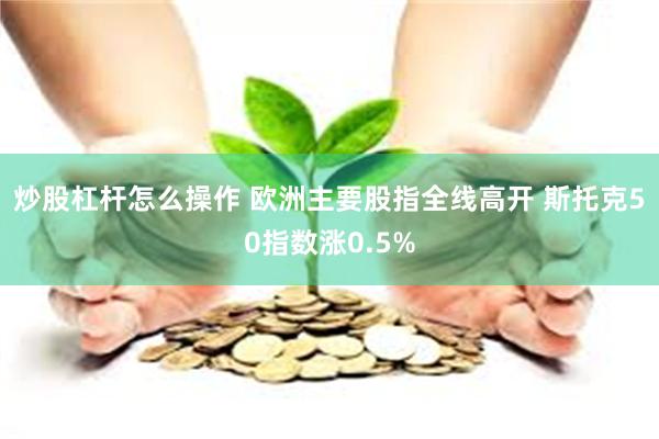 炒股杠杆怎么操作 欧洲主要股指全线高开 斯托克50指数涨0.5%