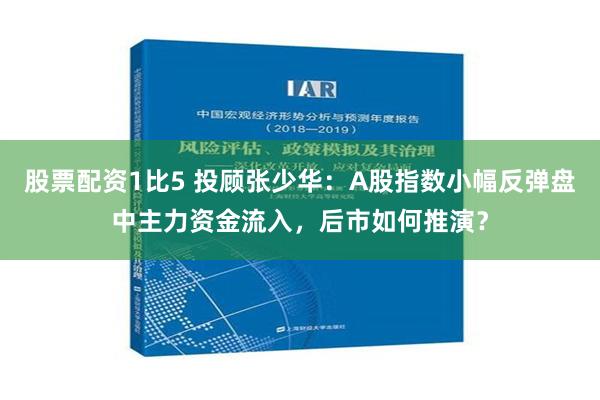 股票配资1比5 投顾张少华：A股指数小幅反弹盘中主力资金流入，后市如何推演？