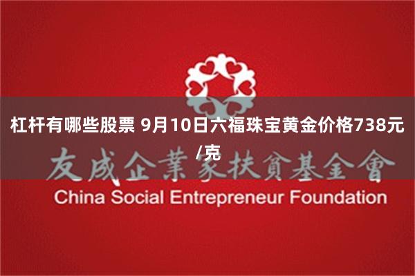 杠杆有哪些股票 9月10日六福珠宝黄金价格738元/克
