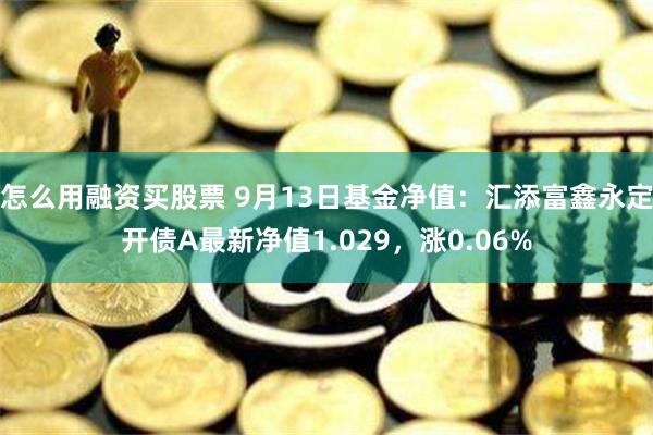 怎么用融资买股票 9月13日基金净值：汇添富鑫永定开债A最新净值1.029，涨0.06%