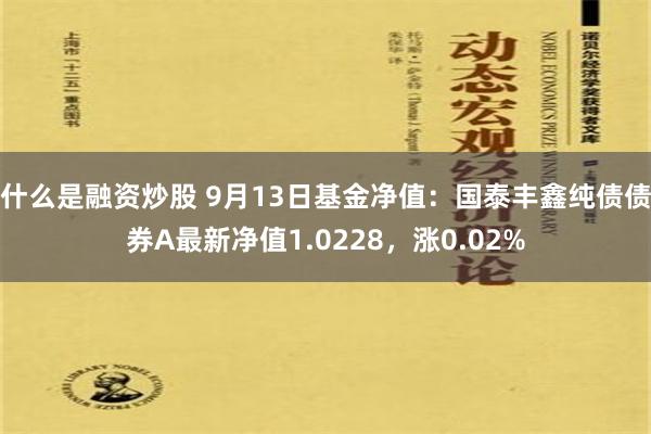 什么是融资炒股 9月13日基金净值：国泰丰鑫纯债债券A最新净值1.0228，涨0.02%