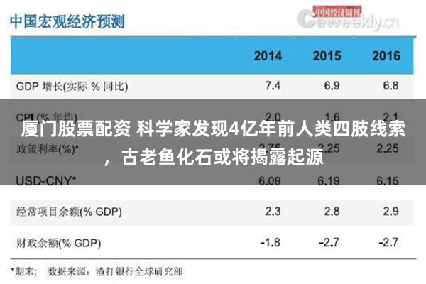 厦门股票配资 科学家发现4亿年前人类四肢线索，古老鱼化石或将揭露起源