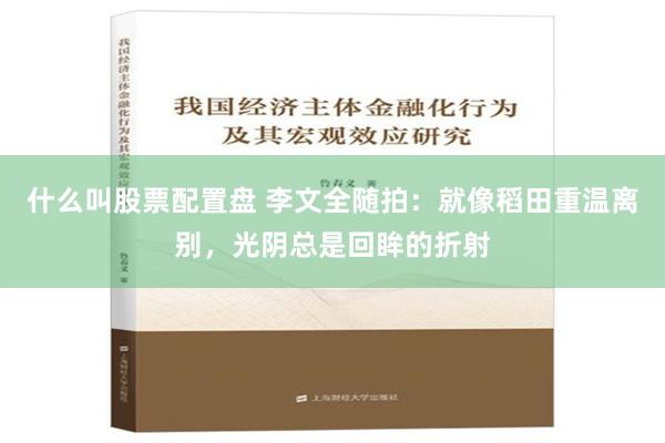 什么叫股票配置盘 李文全随拍：就像稻田重温离别，光阴总是回眸的折射