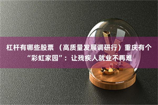 杠杆有哪些股票 （高质量发展调研行）重庆有个“彩虹家园”：让残疾人就业不再难