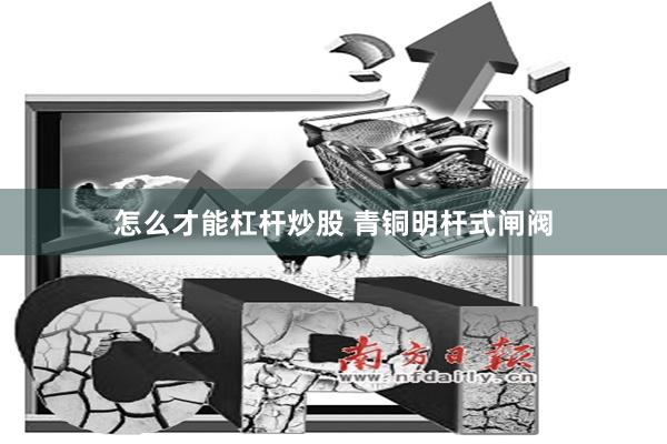 怎么才能杠杆炒股 青铜明杆式闸阀