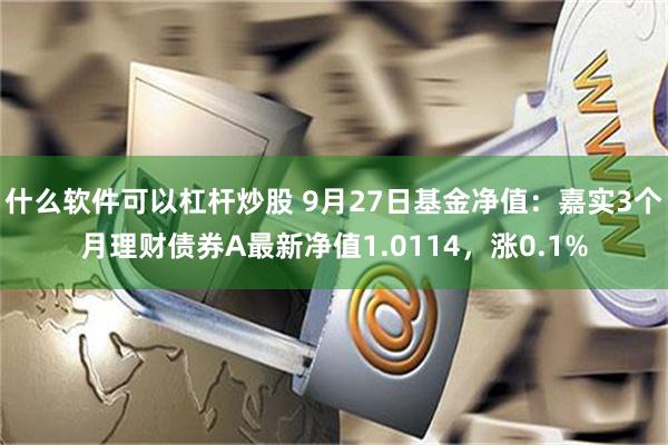 什么软件可以杠杆炒股 9月27日基金净值：嘉实3个月理财债券A最新净值1.0114，涨0.1%