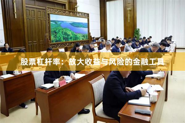 股票杠杆率：放大收益与风险的金融工具