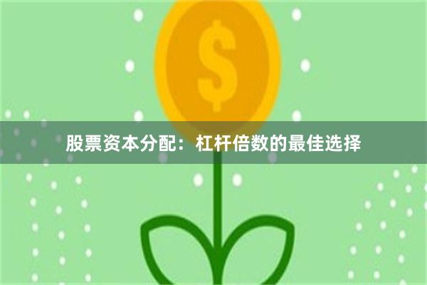 股票资本分配：杠杆倍数的最佳选择