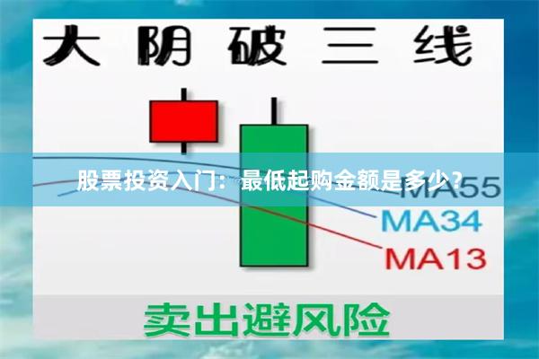 股票投资入门：最低起购金额是多少？