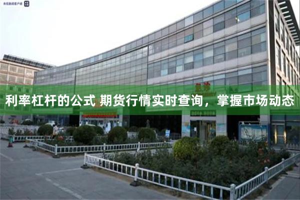 利率杠杆的公式 期货行情实时查询，掌握市场动态