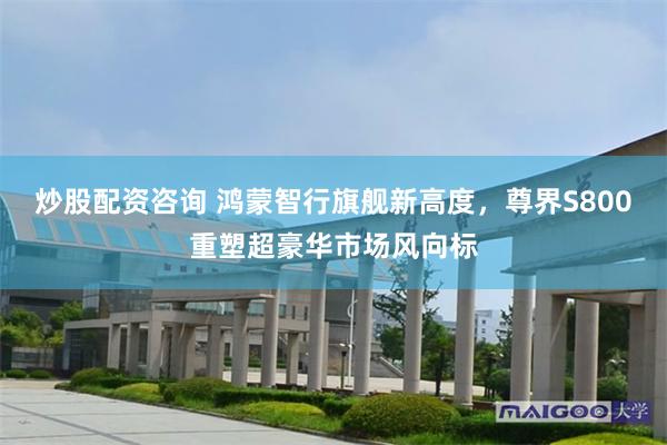 炒股配资咨询 鸿蒙智行旗舰新高度，尊界S800重塑超豪华市场风向标