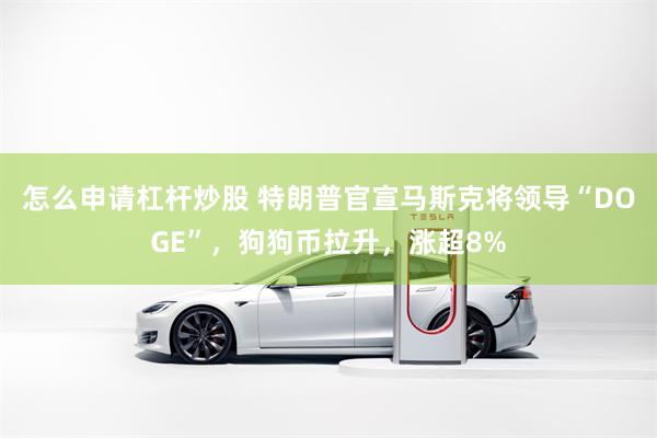 怎么申请杠杆炒股 特朗普官宣马斯克将领导“DOGE”，狗狗币拉升，涨超8%