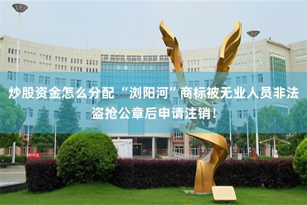 炒股资金怎么分配 “浏阳河”商标被无业人员非法盗抢公章后申请注销！