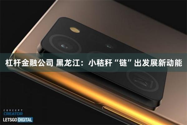杠杆金融公司 黑龙江：小秸秆“链”出发展新动能