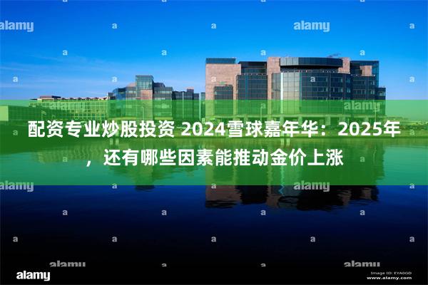 配资专业炒股投资 2024雪球嘉年华：2025年，还有哪些因素能推动金价上涨