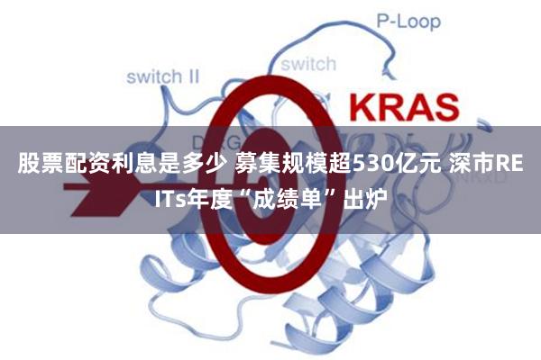 股票配资利息是多少 募集规模超530亿元 深市REITs年度“成绩单”出炉