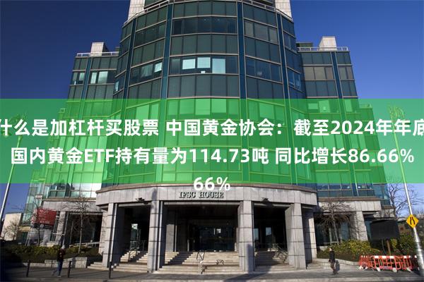 什么是加杠杆买股票 中国黄金协会：截至2024年年底国内黄金ETF持有量为114.73吨 同比增长86.66%