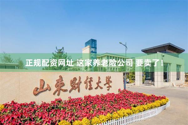正规配资网址 这家养老险公司 要卖了！