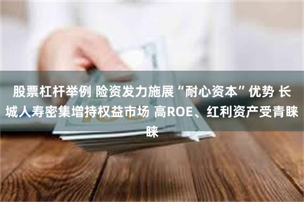 股票杠杆举例 险资发力施展“耐心资本”优势 长城人寿密集增持权益市场 高ROE、红利资产受青睐