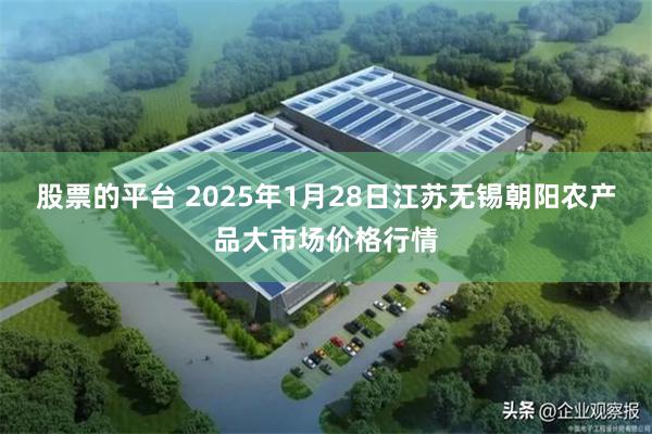 股票的平台 2025年1月28日江苏无锡朝阳农产品大市场价格行情