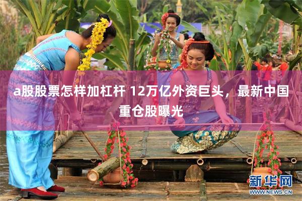 a股股票怎样加杠杆 12万亿外资巨头，最新中国重仓股曝光