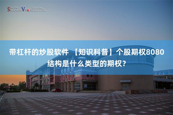 带杠杆的炒股软件 【知识科普】个股期权8080结构是什么类型的期权？