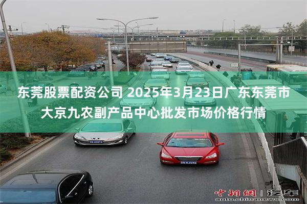 东莞股票配资公司 2025年3月23日广东东莞市大京九农副产品中心批发市场价格行情