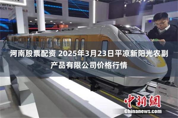 河南股票配资 2025年3月23日平凉新阳光农副产品有限公司价格行情