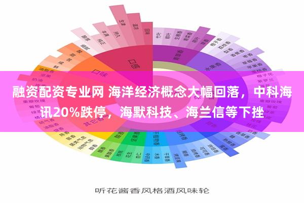 融资配资专业网 海洋经济概念大幅回落，中科海讯20%跌停，海默科技、海兰信等下挫