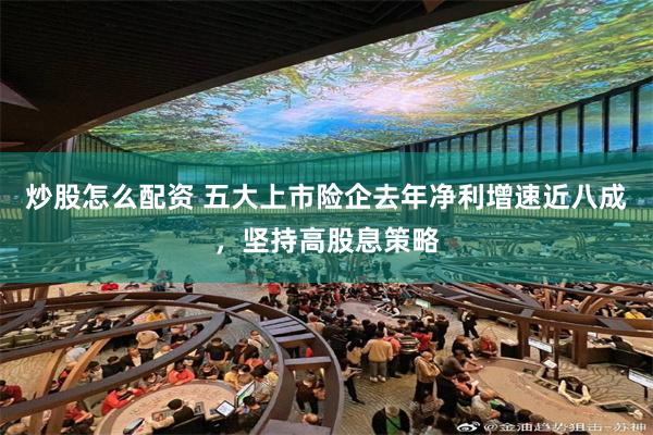 炒股怎么配资 五大上市险企去年净利增速近八成，坚持高股息策略