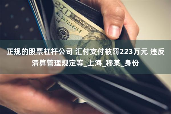 正规的股票杠杆公司 汇付支付被罚223万元 违反清算管理规定等_上海_穆某_身份