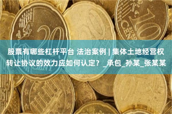 股票有哪些杠杆平台 法治案例 | 集体土地经营权转让协议的效力应如何认定？_承包_孙某_张某某
