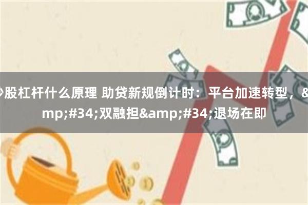 炒股杠杆什么原理 助贷新规倒计时：平台加速转型，&#34;双融担&#34;退场在即
